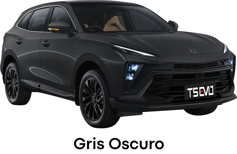 Gris Oscuro