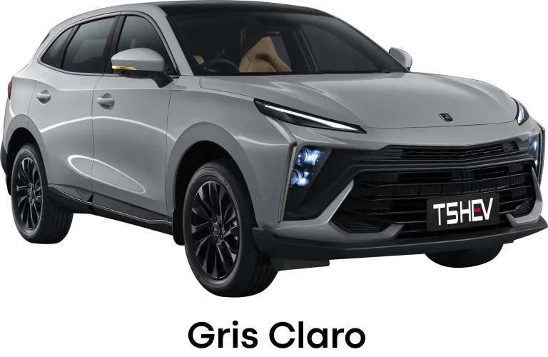 Gris-Claro