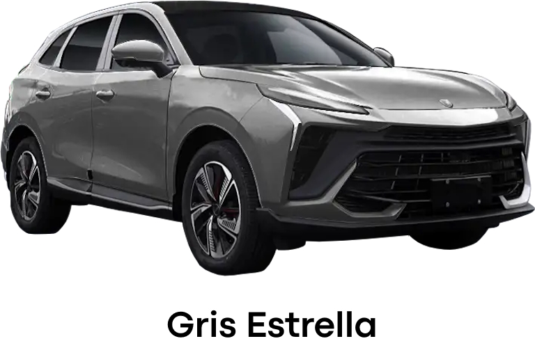 Gris-Estrella